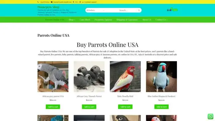Screenshot of