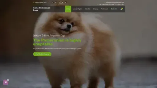 Screenshot of