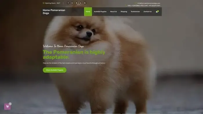 Screenshot of