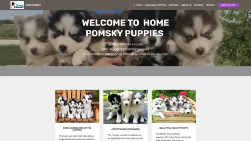 Screenshot of