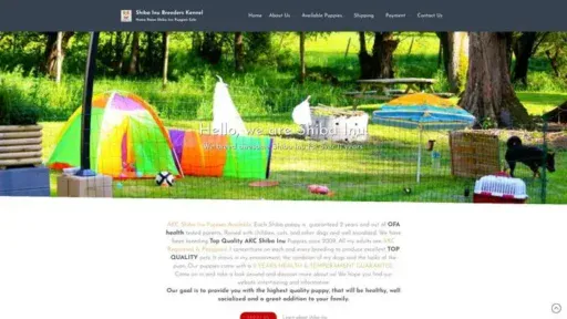 Screenshot of