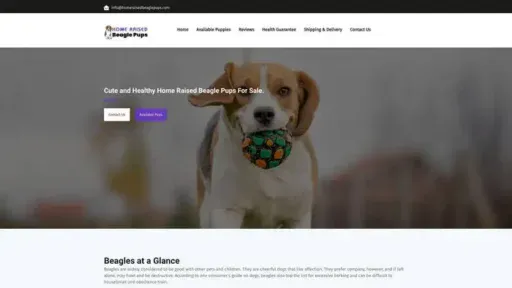 Screenshot of