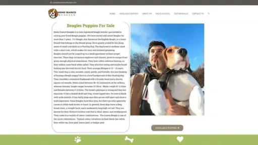 Screenshot of