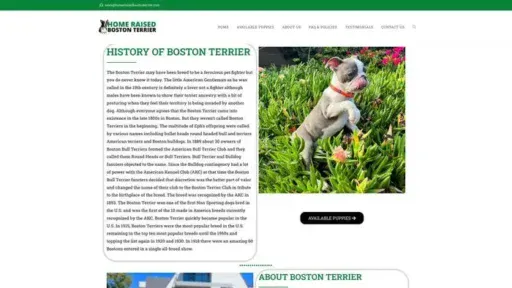 Screenshot of
