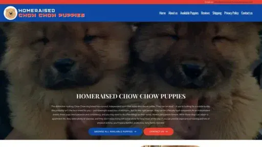 Screenshot of