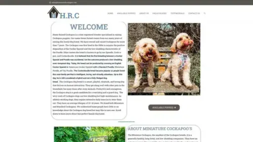Screenshot of