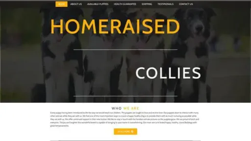 Screenshot of