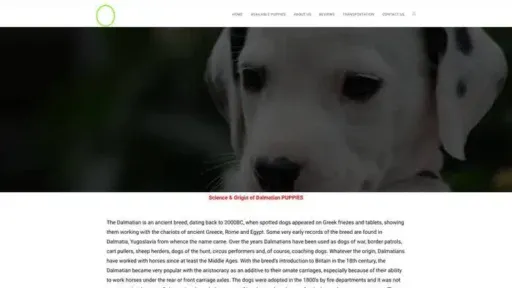 Screenshot of