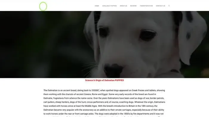 Screenshot of