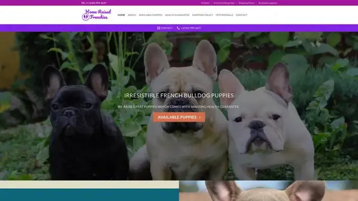 Screenshot of