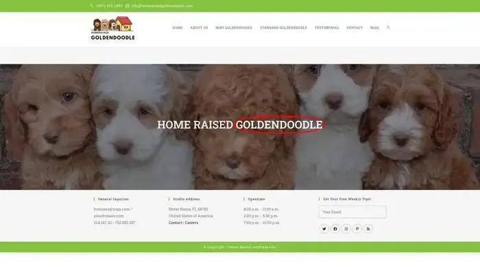Screenshot of