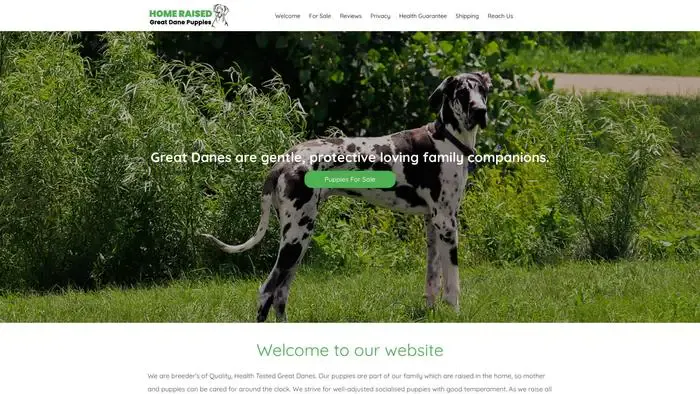 Screenshot of