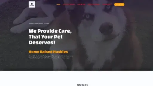 Screenshot of