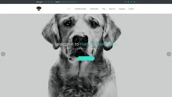 Screenshot of