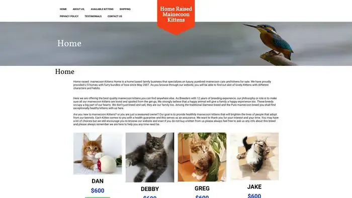 Screenshot of