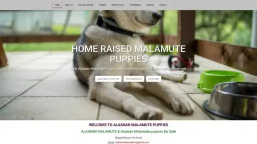 Screenshot of