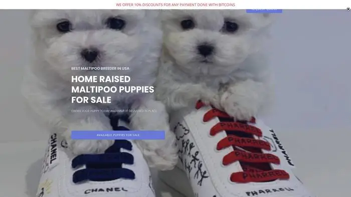 Screenshot of