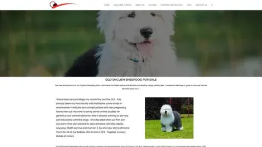 Screenshot of