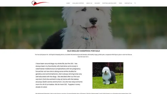 Screenshot of
