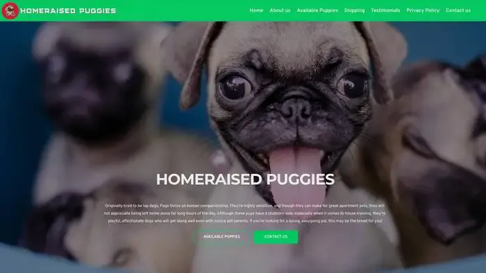 Screenshot of