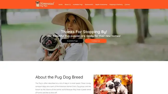 Screenshot of