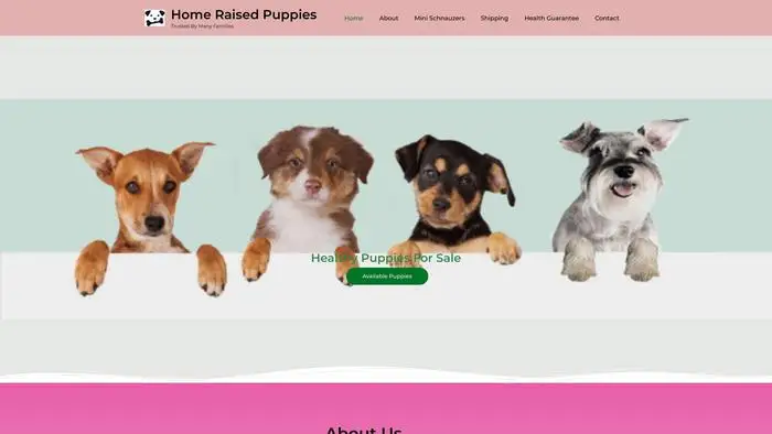 Screenshot of