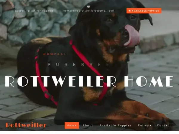 Screenshot of