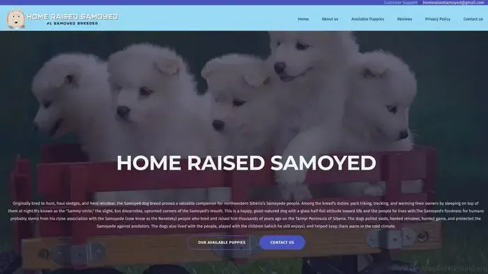 Screenshot of