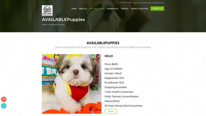 Screenshot of
