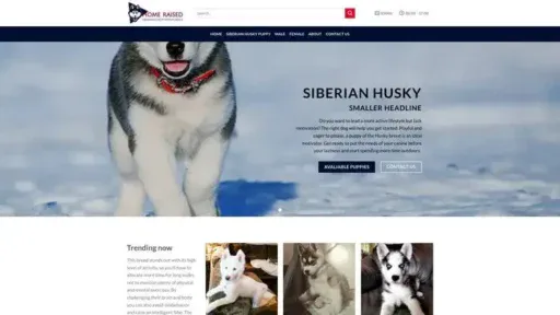 Screenshot of