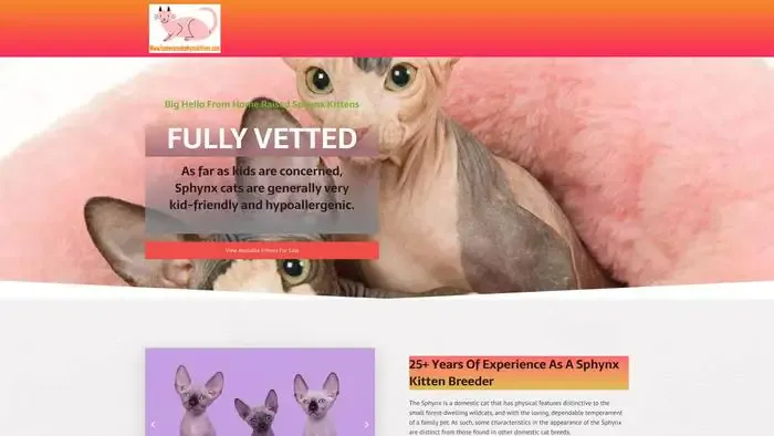 Screenshot of