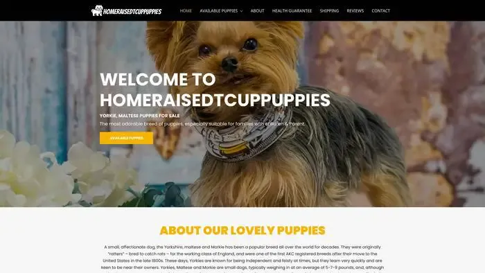 Screenshot of