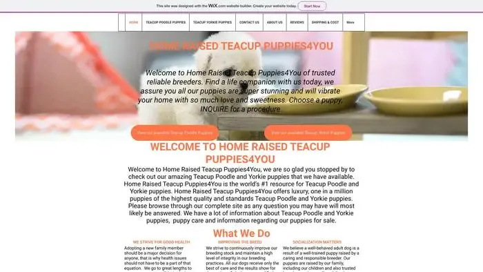 Screenshot of