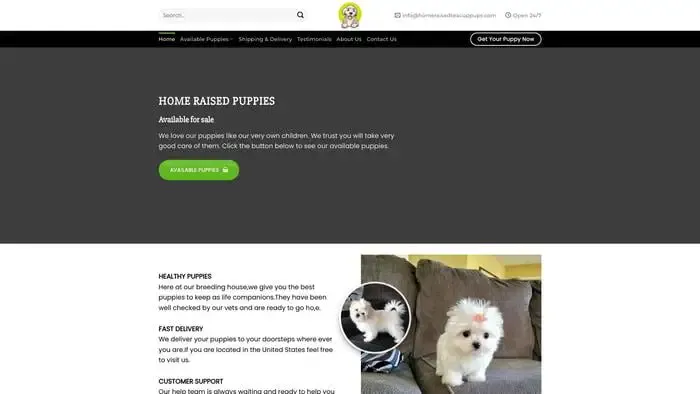 Screenshot of