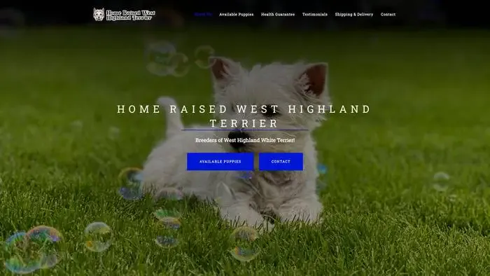 Screenshot of