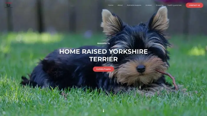 Screenshot of