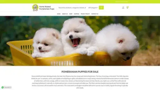 Screenshot of