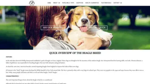 Screenshot of