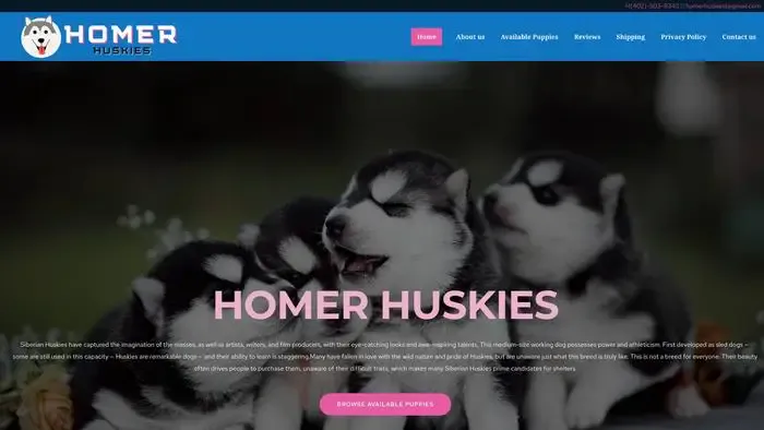 Screenshot of