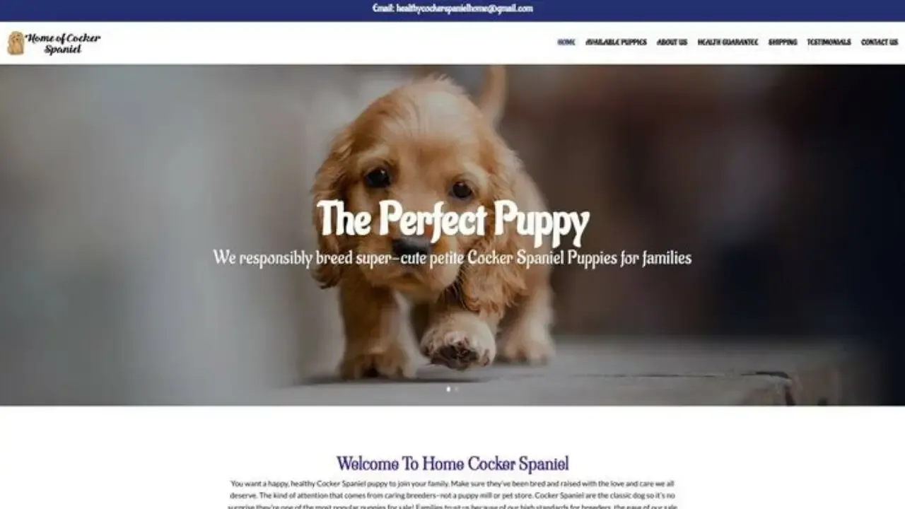 Homescockerspaniel