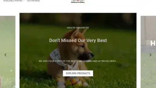 Screenshot of
