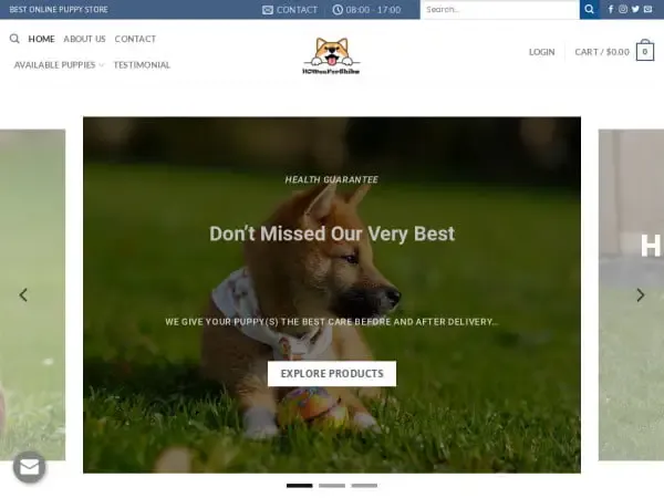 Screenshot of