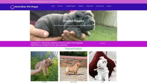 Screenshot of