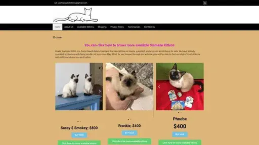 Screenshot of