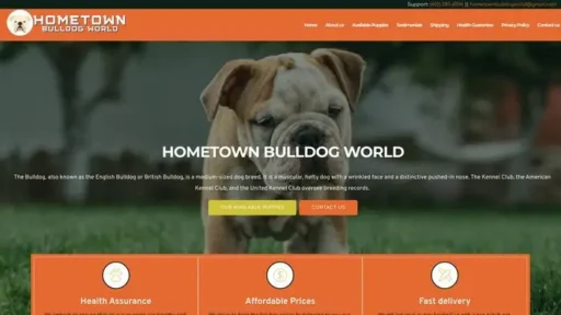 Screenshot of