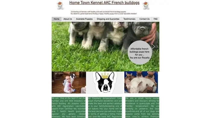 Screenshot of