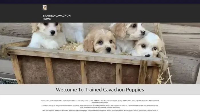 Screenshot of