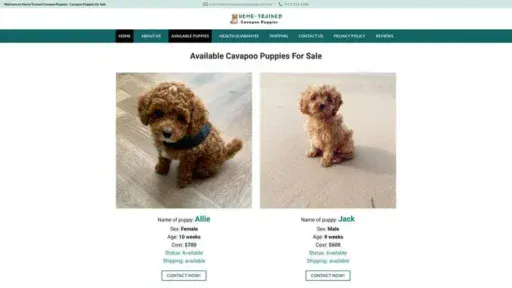 Screenshot of