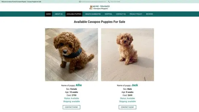 Screenshot of