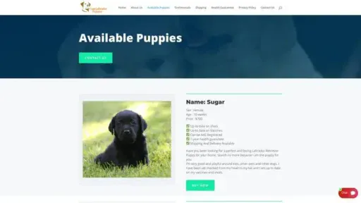 Screenshot of